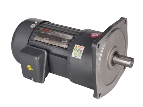 齒輪減速電機(jī)